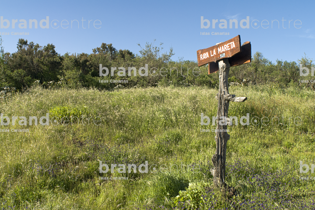 Sendero de la Virgen