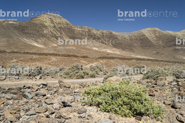 Great valley