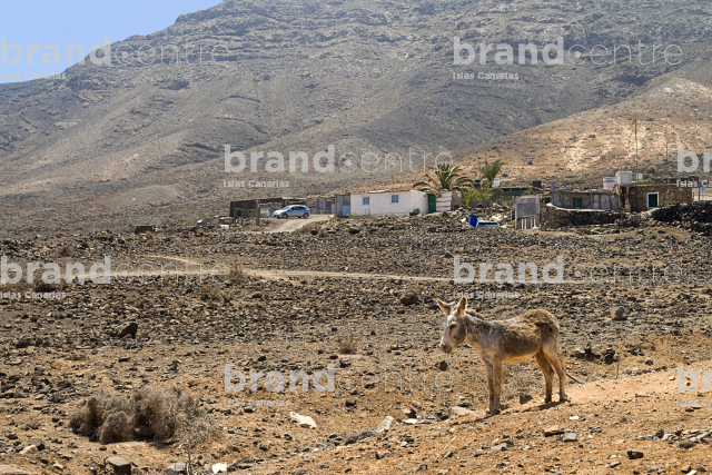 Great valley