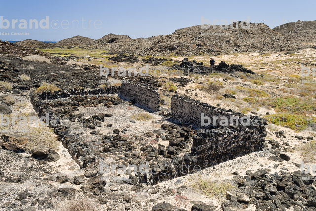 Islet of Wolves