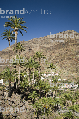 Sendero Cercado-Valle Gran Rey