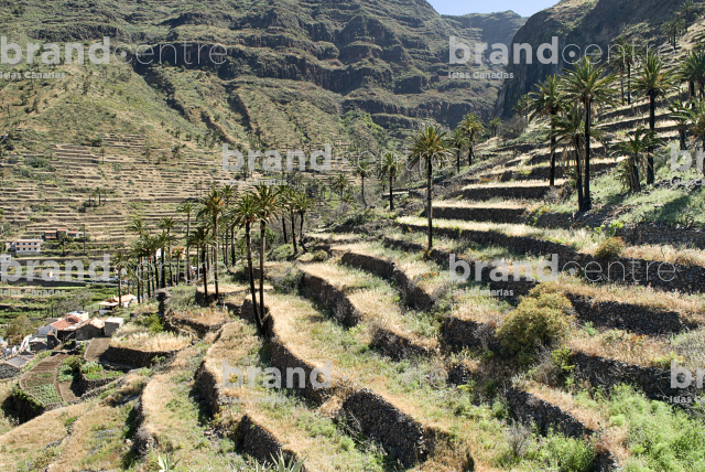 Fenced Path-Gran Rey Valley Fenced Path-Gran Rey Valley