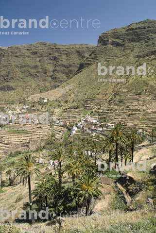 Fenced Path-Gran Rey Valley