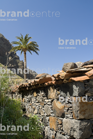 Fenced Path-Gran Rey Valley