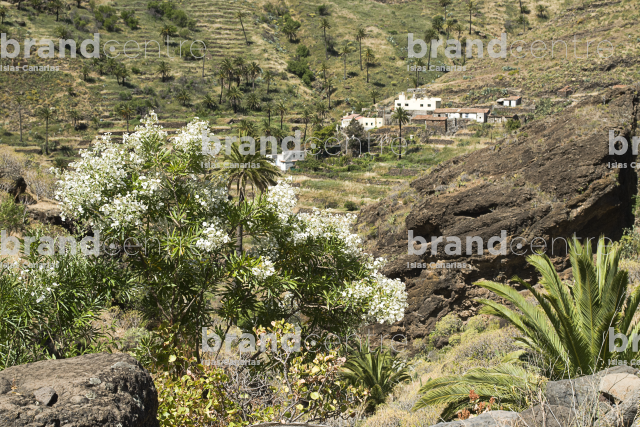 Santiago ravine Santiago ravine