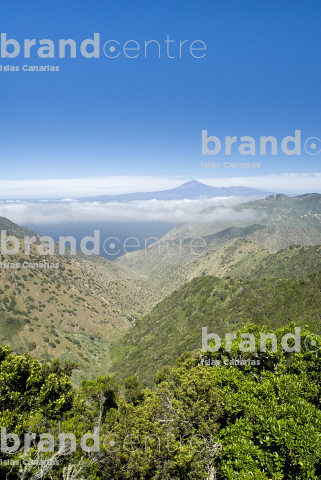 Vallehermoso circular trail Vallehermoso circular trail