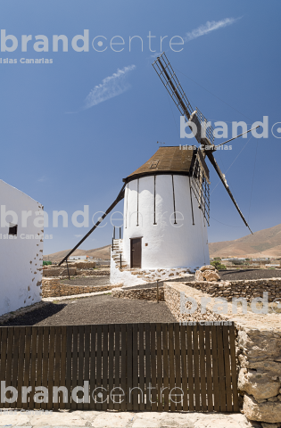 Molino.Tiscamanita