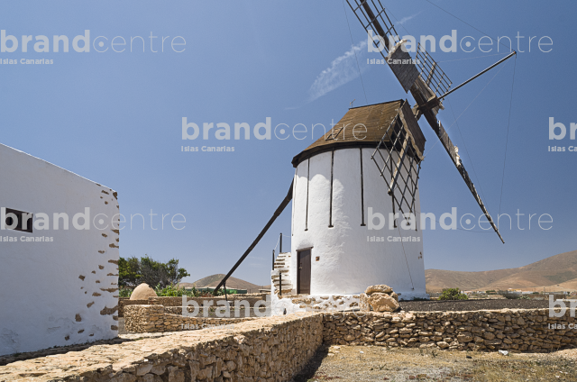 Molino.Tiscamanita
