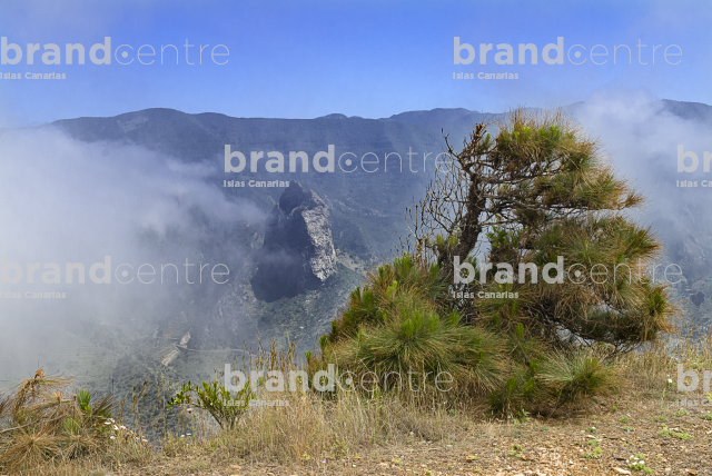 Sendero circular de Vallehermoso