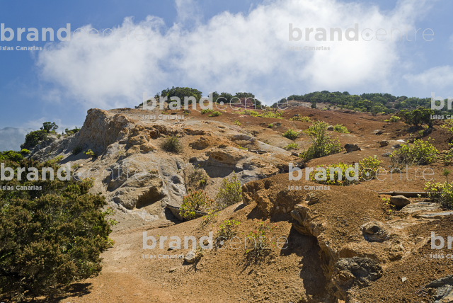 Sendero circular de Vallehermoso