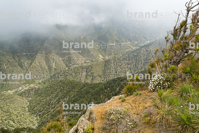 Vallehermoso circular trail