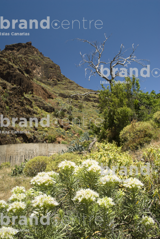 Santiago ravine