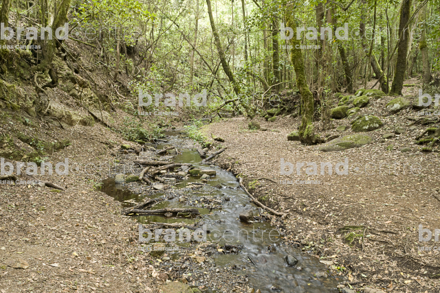 Sendero Contadero-El Cedro