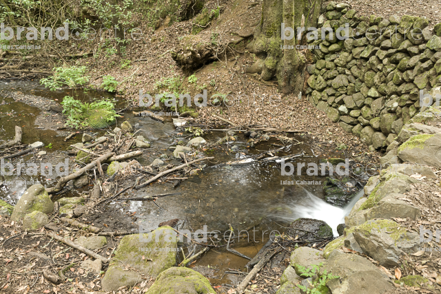 Sendero Contadero-El Cedro