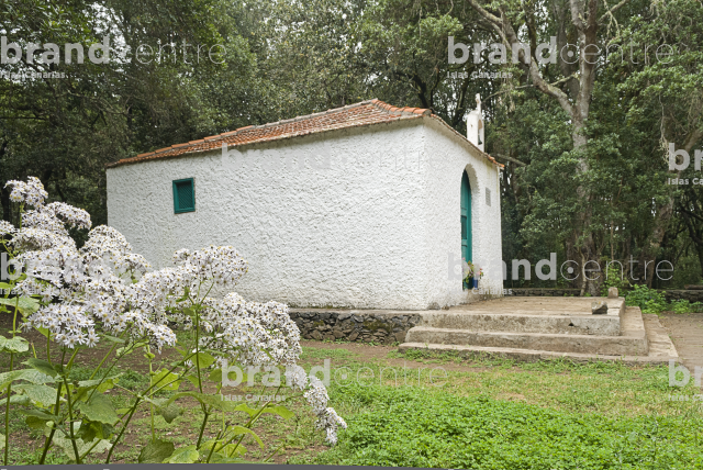Sendero Contadero-El Cedro