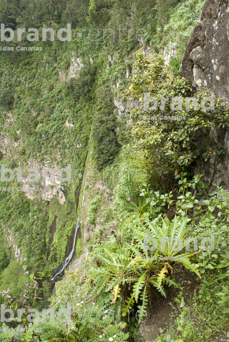 Sendero Contadero-El Cedro