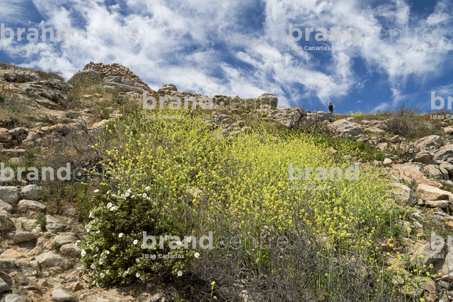Chipude Fortress Trail Chipude Fortress Trail