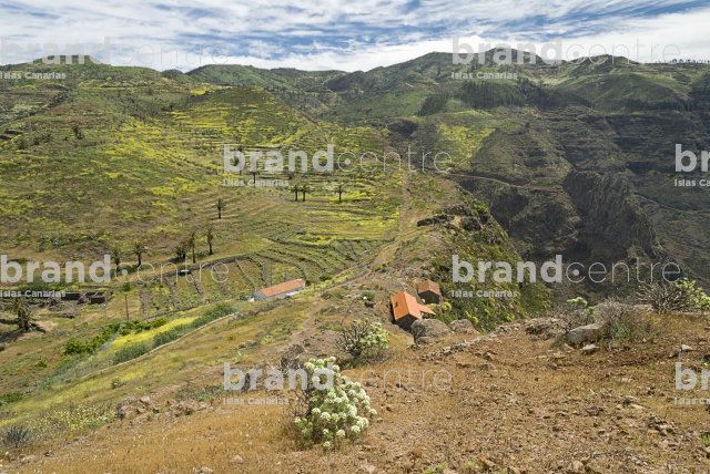 Chipude Fortress Trail Chipude Fortress Trail