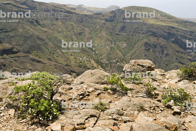 Chipude Fortress Trail Chipude Fortress Trail