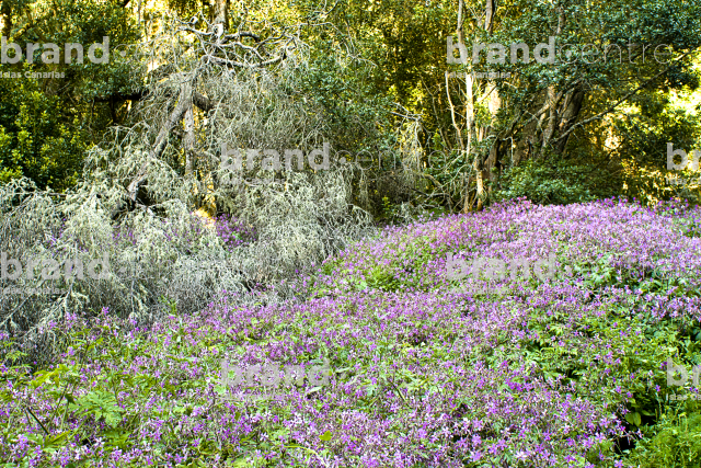 Sendero Las Creces Sendero Las Creces
