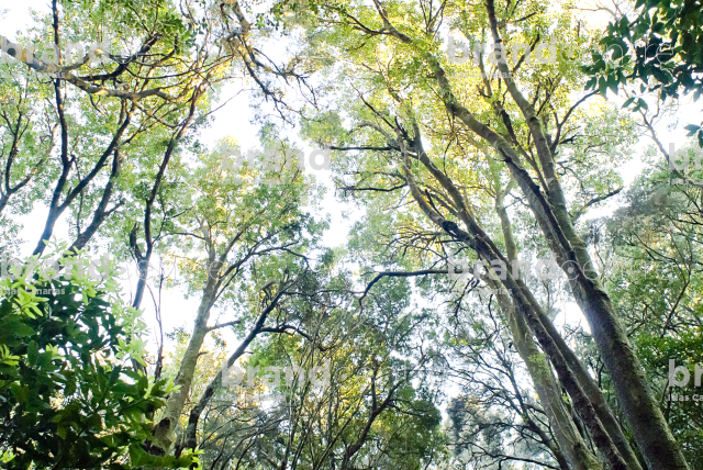 Las Creces Trail
