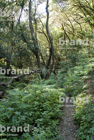 Las Creces Trail