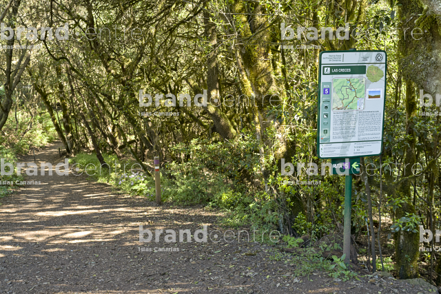Las Creces Trail