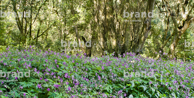 Sendero Las Creces