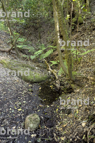 Sendero Las Creces Sendero Las Creces