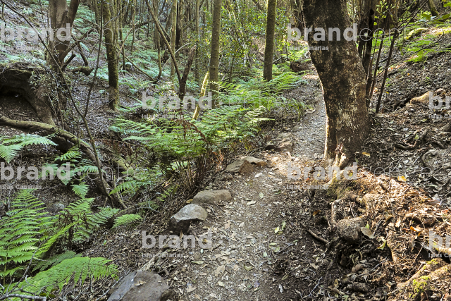 Sendero Las Creces Sendero Las Creces