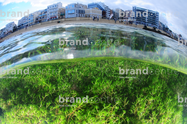 Playa de Las Canteras