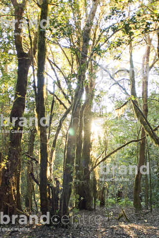 Sendero Las Creces