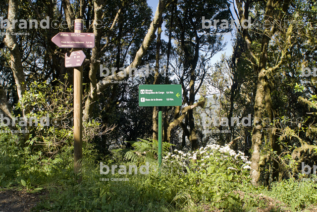 Las Creces Trail