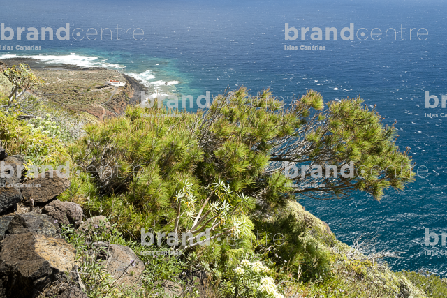 Puntallana Trail