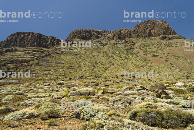 Sendero Puntallana Sendero Puntallana