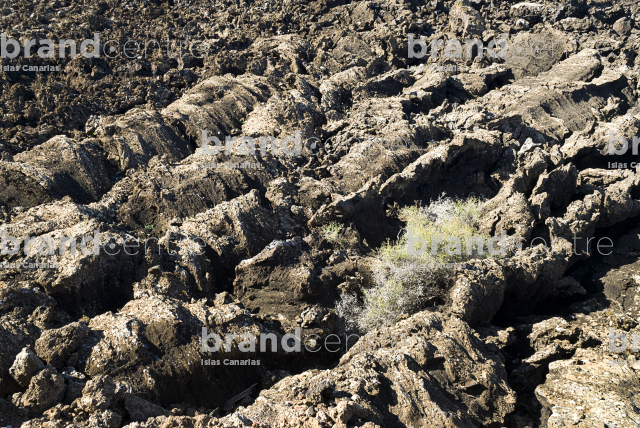 Caldera Blanca Trail, Lanzarote