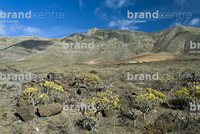 Sendero Caleta de Famara a Haría, Lanzarote