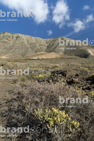 Sendero Caleta de Famara a Haría, Lanzarote Sendero Caleta de Famara a Haría, Lanzarote