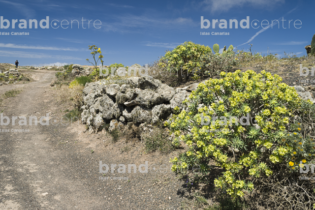 Sendero Caleta de Famara a Haría, Lanzarote Sendero Caleta de Famara a Haría, Lanzarote