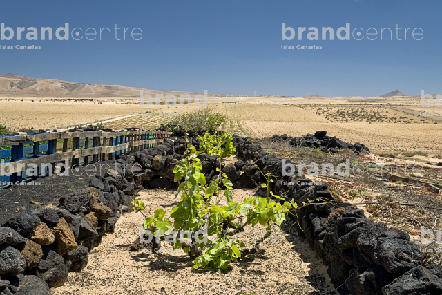 Sendero el Jable, Lanzarote