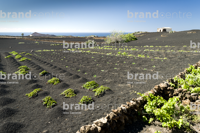 El Jable Trail, Lanzarote