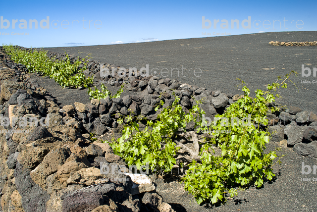 Sendero el Jable, Lanzarote Sendero el Jable, Lanzarote