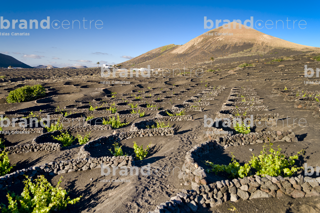 La Geria Trail, Lanzarote La Geria Trail, Lanzarote