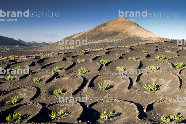 La Geria Trail, Lanzarote