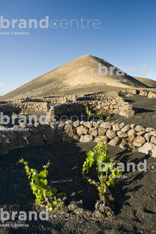 La Geria Trail, Lanzarote La Geria Trail, Lanzarote