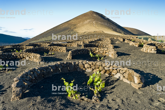 La Geria Trail, Lanzarote La Geria Trail, Lanzarote