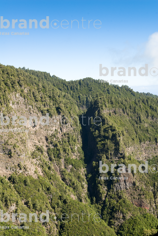 Marcos and Lamb Lambs