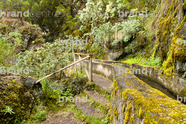 Sendero Necientes de Marcos y Cordero