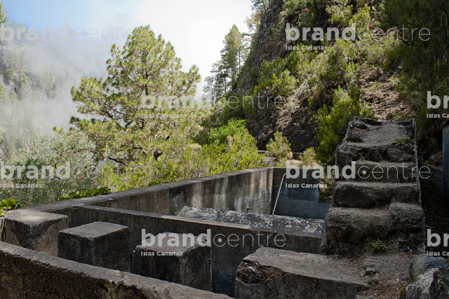 Sendero Necientes de Marcos y Cordero