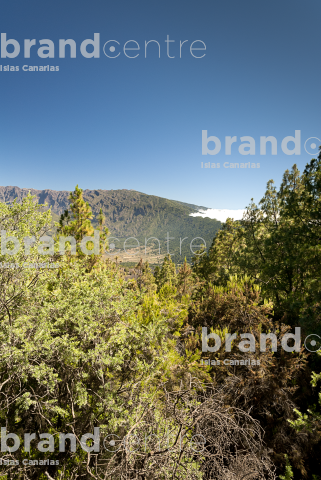 Sendero Rutas de los Volcanes, La Palma